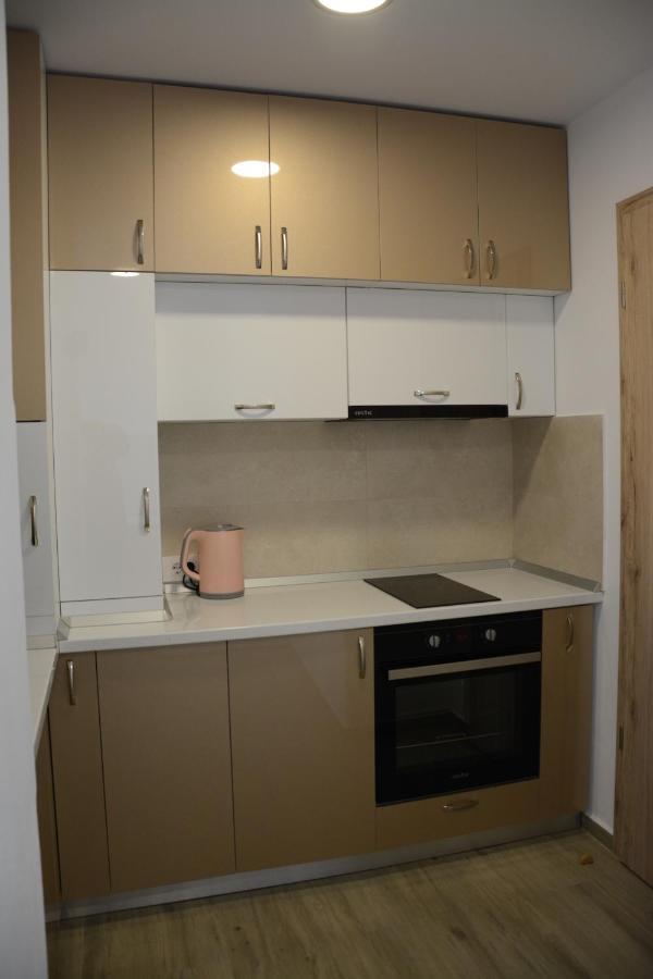 Luxury Panorama Apartament,Coresi Braşov Dış mekan fotoğraf